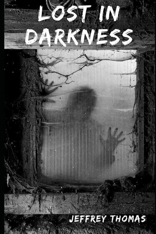 Lost in Darkness: a YA horror novel cover image