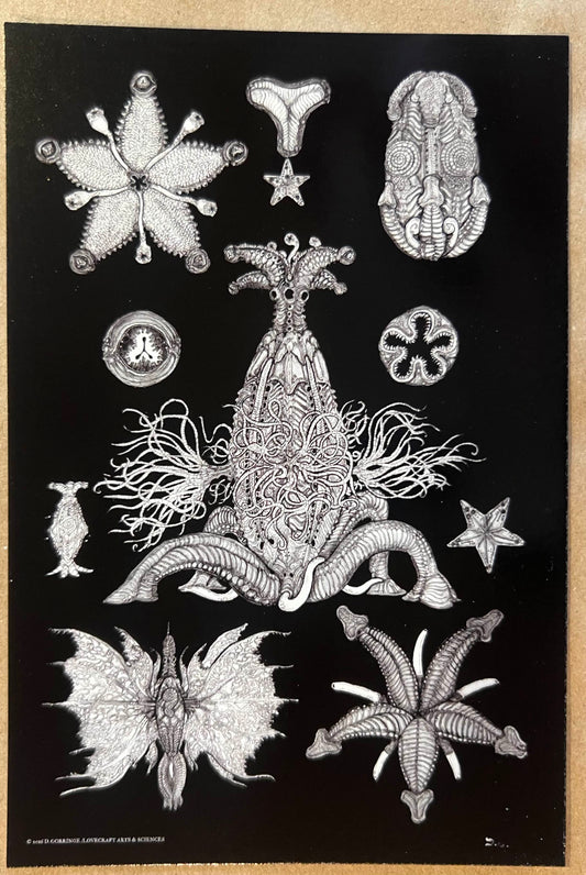 Elder Thing in the spirit of Ernst Haeckel postcard